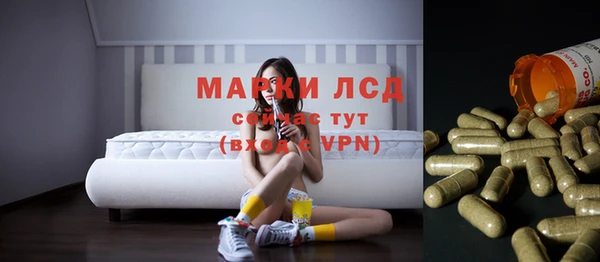 прущие грибы Медногорск