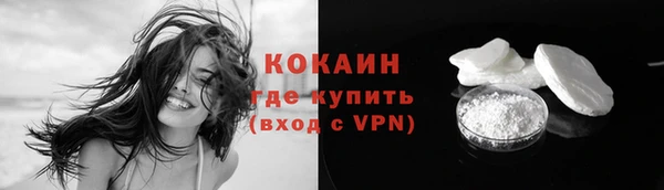 прущие грибы Медногорск