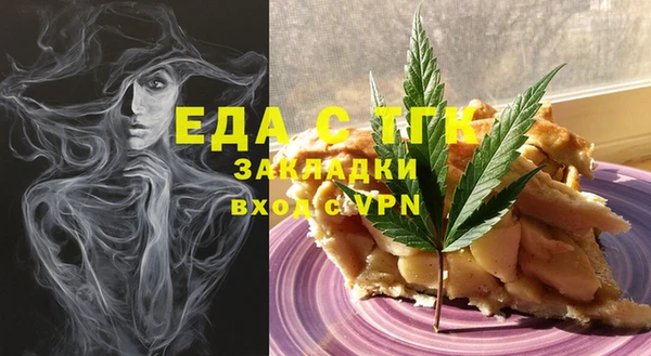 индика Ельня