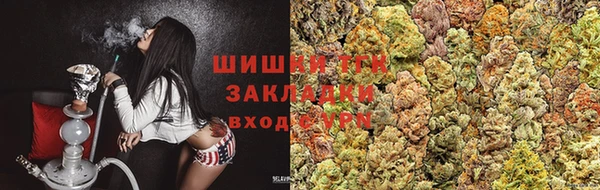 прущие грибы Медногорск