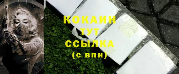 стаф Майский